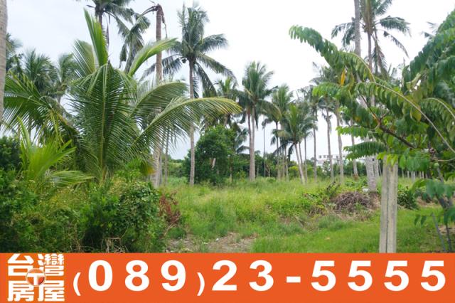 台東土地買賣