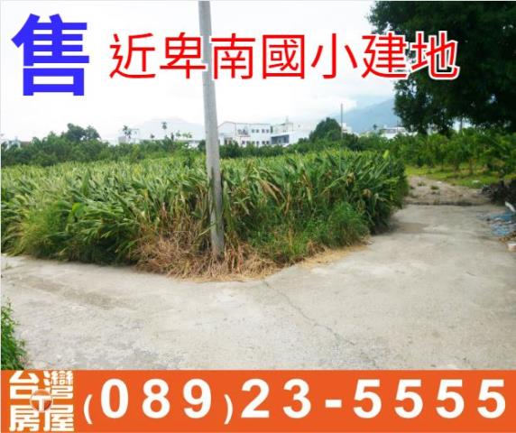 近卑南國小建地