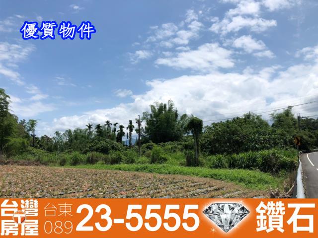 台東鹿野建地-11