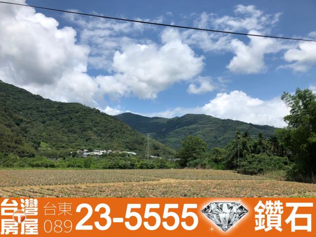 台東鹿野建地-7