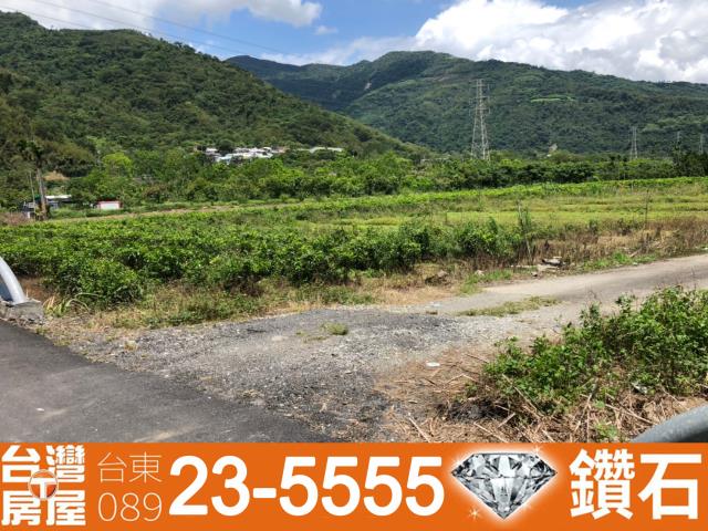 台東鹿野建地-9
