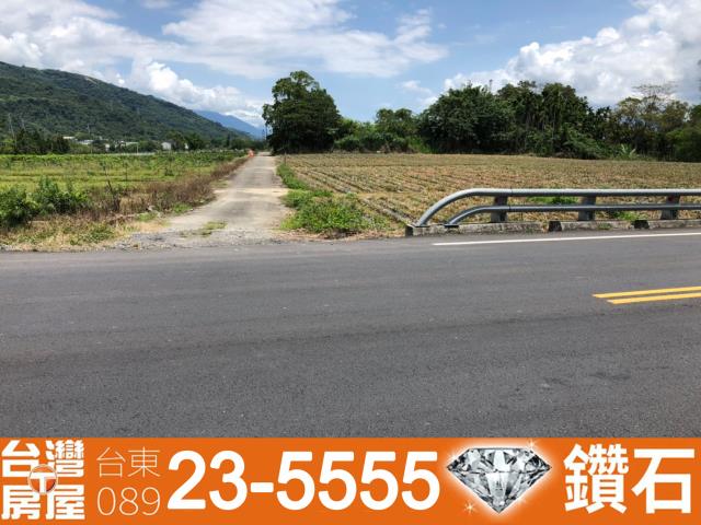台東鹿野建地-10