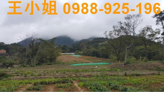 龍潭建地-6