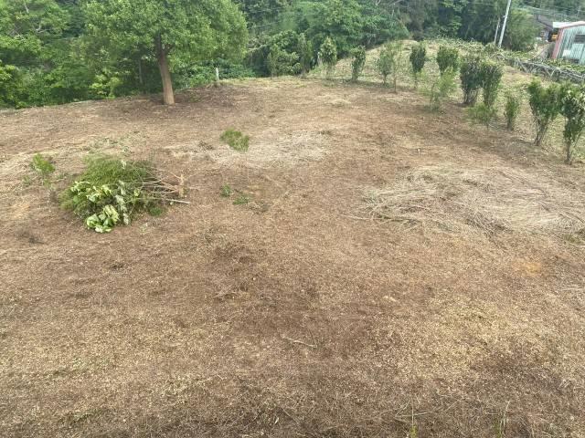 后里建地-10