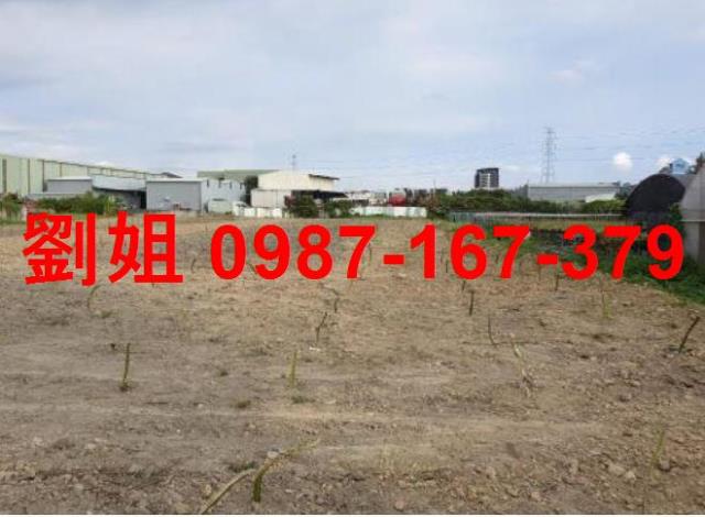 高雄仁武建地-0