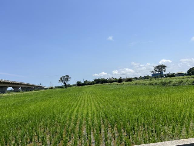桃園新屋建地-1