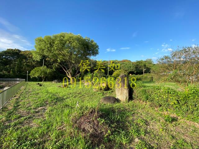 竹崎建地-10