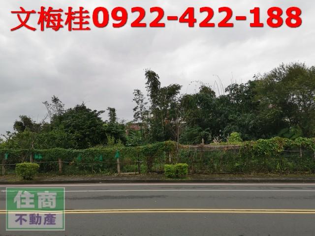 宜蘭縣宜蘭市梅洲新段農建地出售