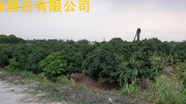 高雄建地-1