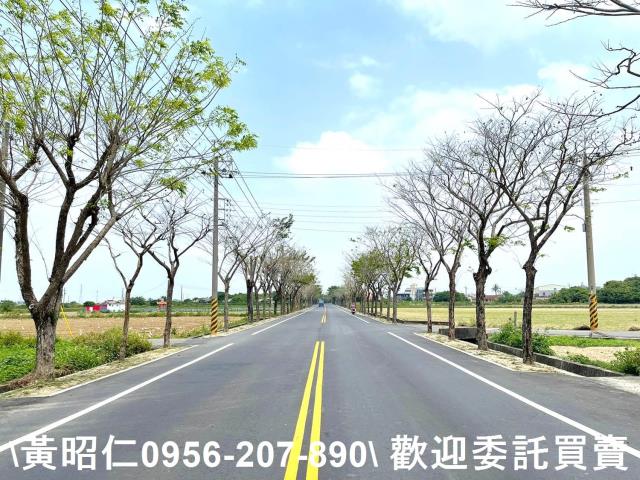 台南新營建地-7