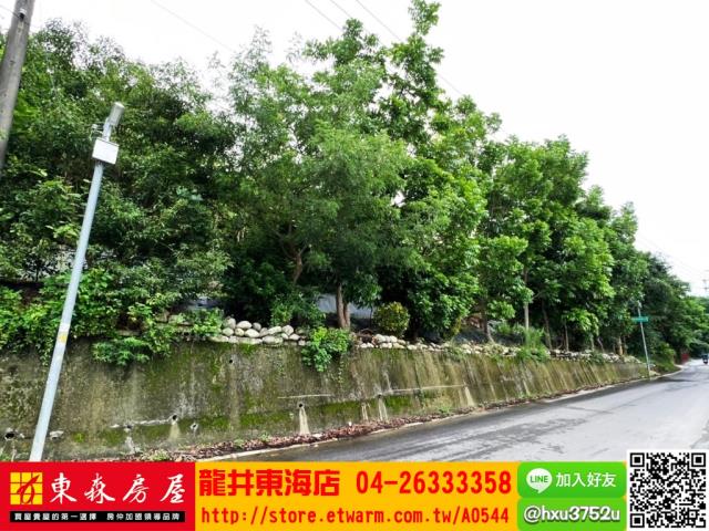 豐原葫蘆墩美建地