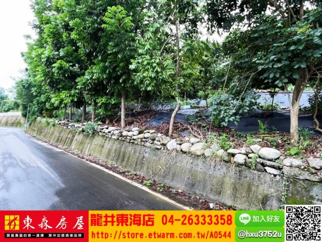 台中豐原建地-1