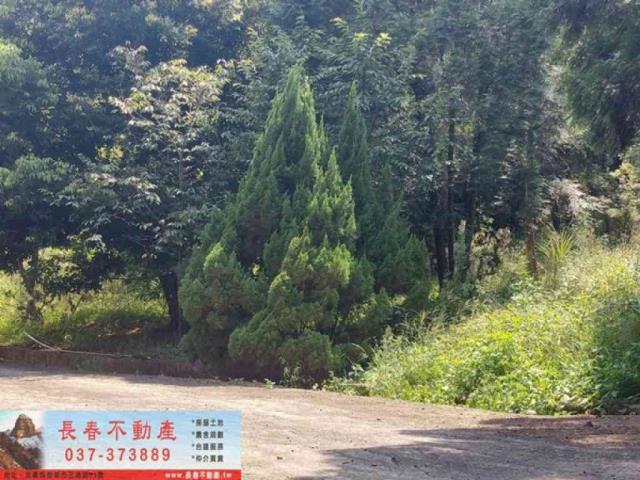 苗栗獅潭建地-2