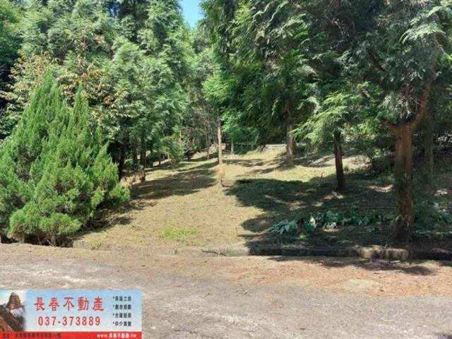 苗栗獅潭建地-4