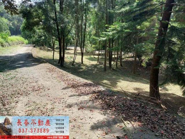 苗栗獅潭建地-5