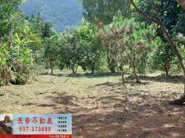 苗栗獅潭建地-7