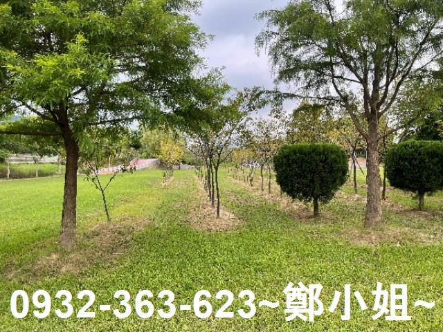 大溪建地-9