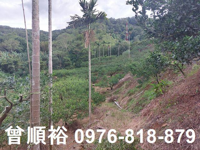 新竹建地-9