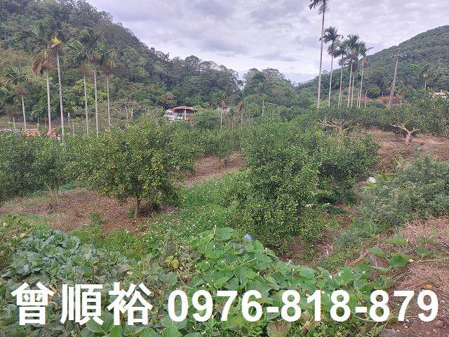 新竹建地-1