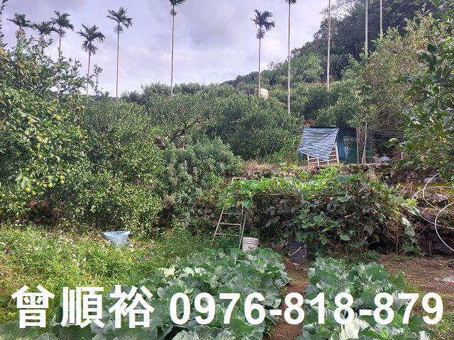 新竹建地-4
