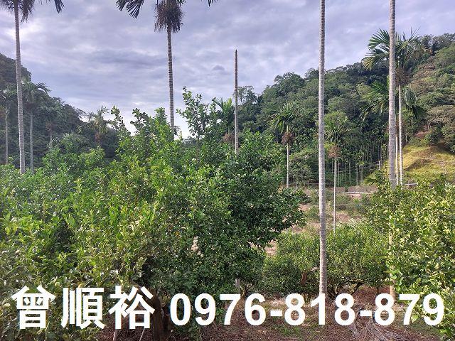 新竹建地-5