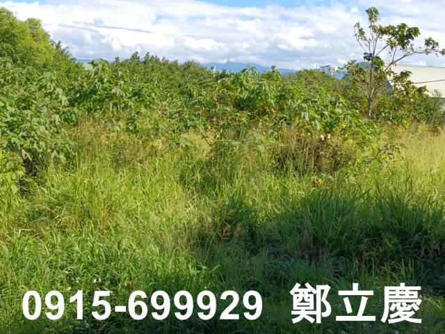 苗栗苗栗市建地-5
