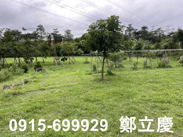 桃園龍潭建地-0