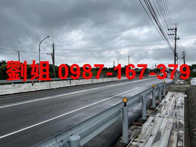 大樹建地-1