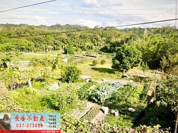 頭屋建地-2