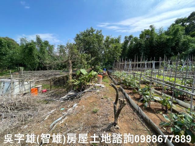 士林建地-9