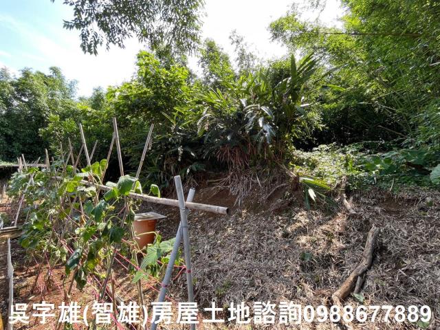 士林建地-10
