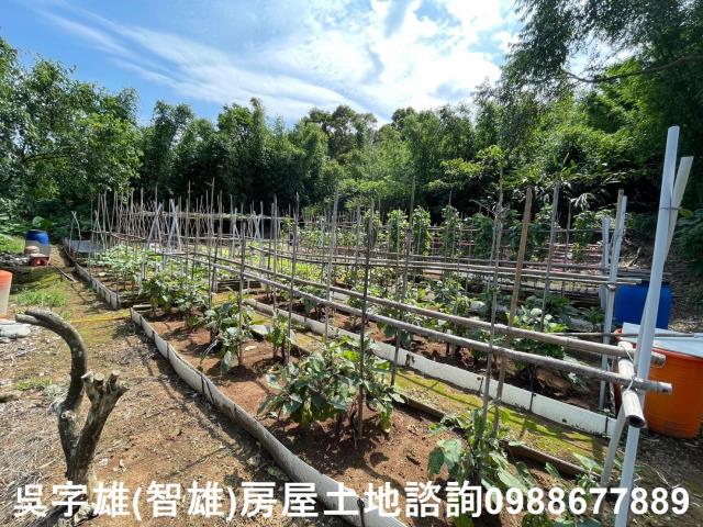 士林建地-11