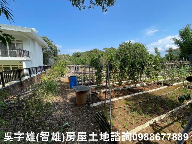 士林建地-12