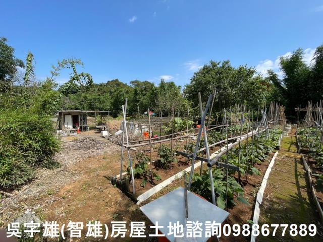 士林建地-14