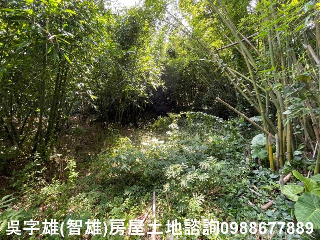 士林建地-8
