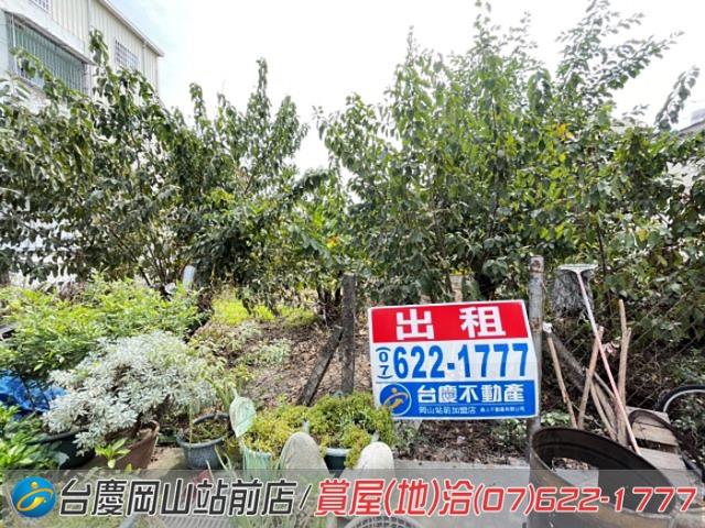 阿蓮建地-11