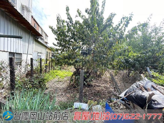 阿蓮建地-6