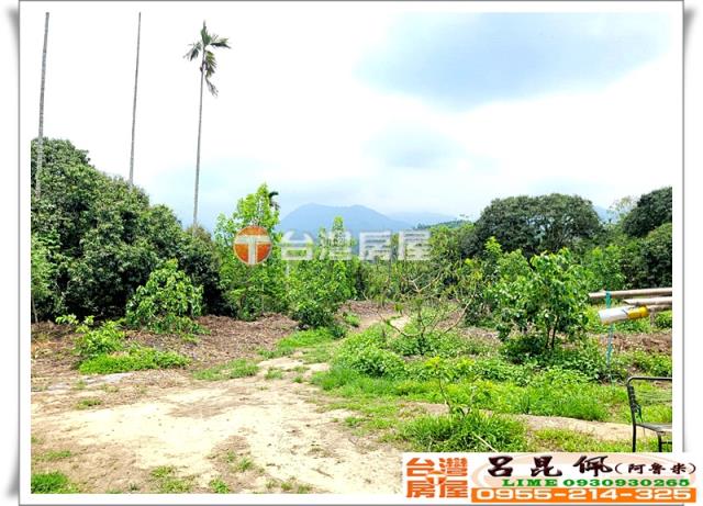 竹崎建地-7