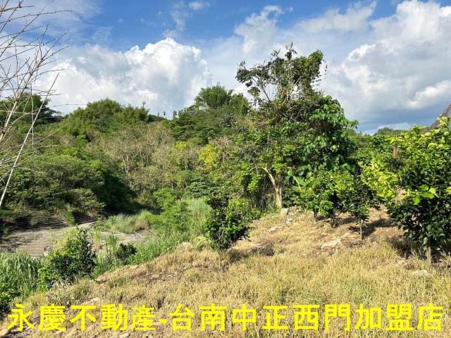 台南白河建地-9