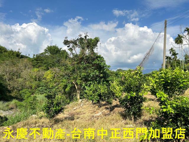 台南白河建地-10