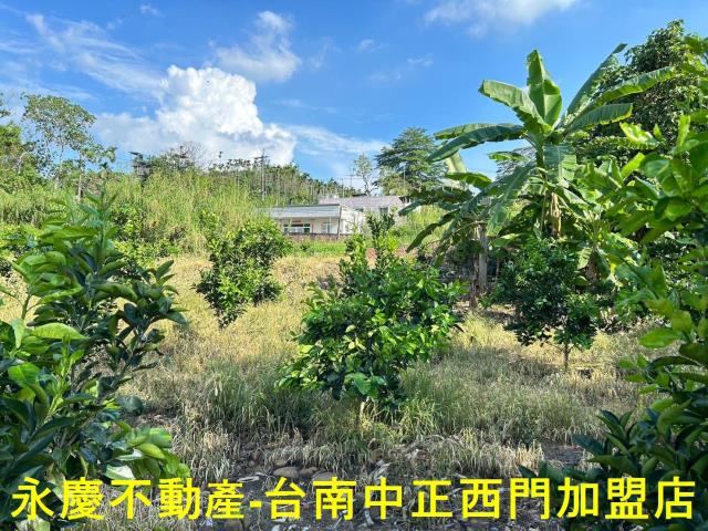 台南白河建地-11