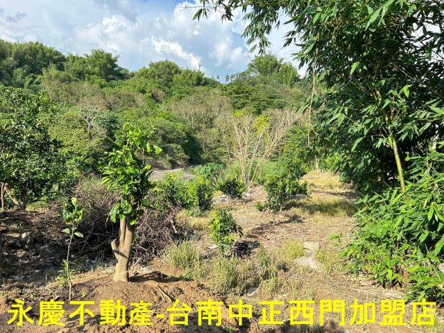 台南白河建地-13