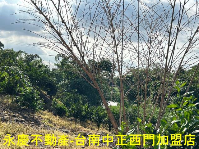 台南白河建地-3