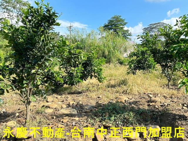 台南白河建地-4