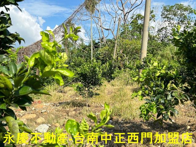 台南白河建地-5