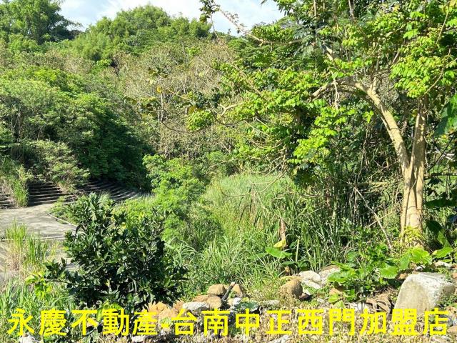 台南白河建地-6