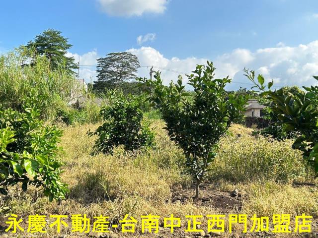台南白河建地-7