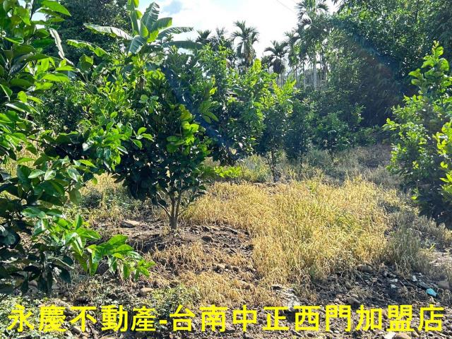 台南白河建地-8