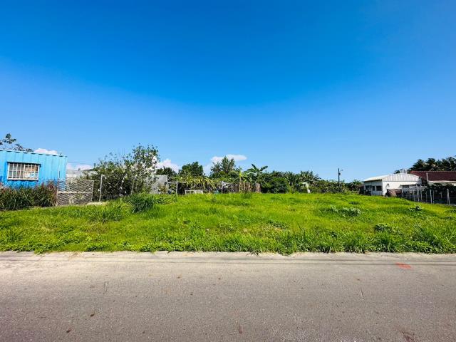 台南永康建地-10