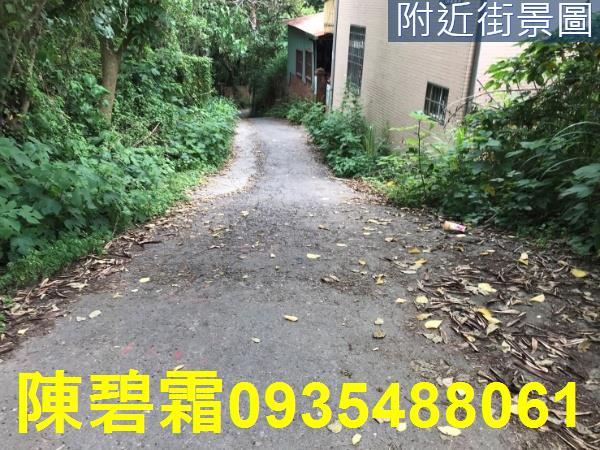 台南新化建地-4